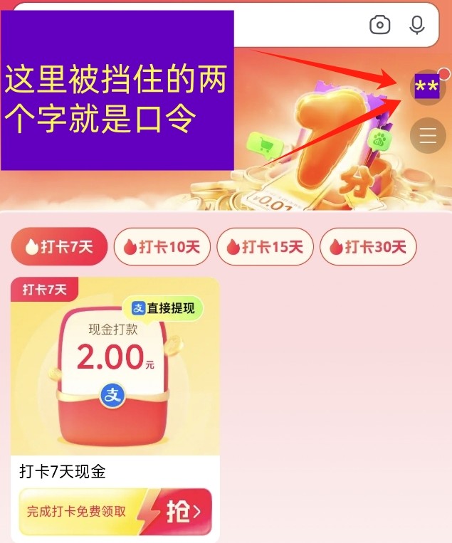 yy